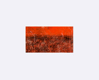 Sundown, Tarcoola - acrylic on Belgian linen - image: 7.5 x 13.9 cms